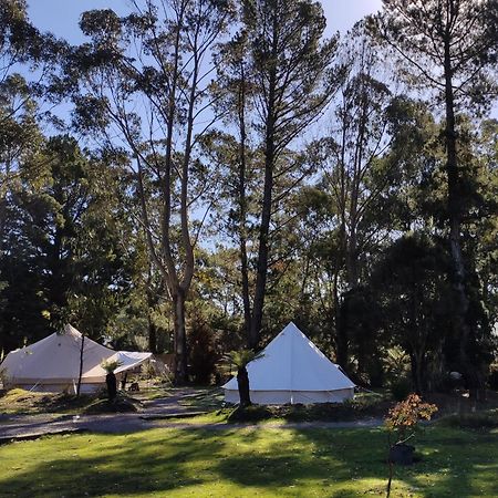 Glamping At Zeehan Bush Camp Dış mekan fotoğraf