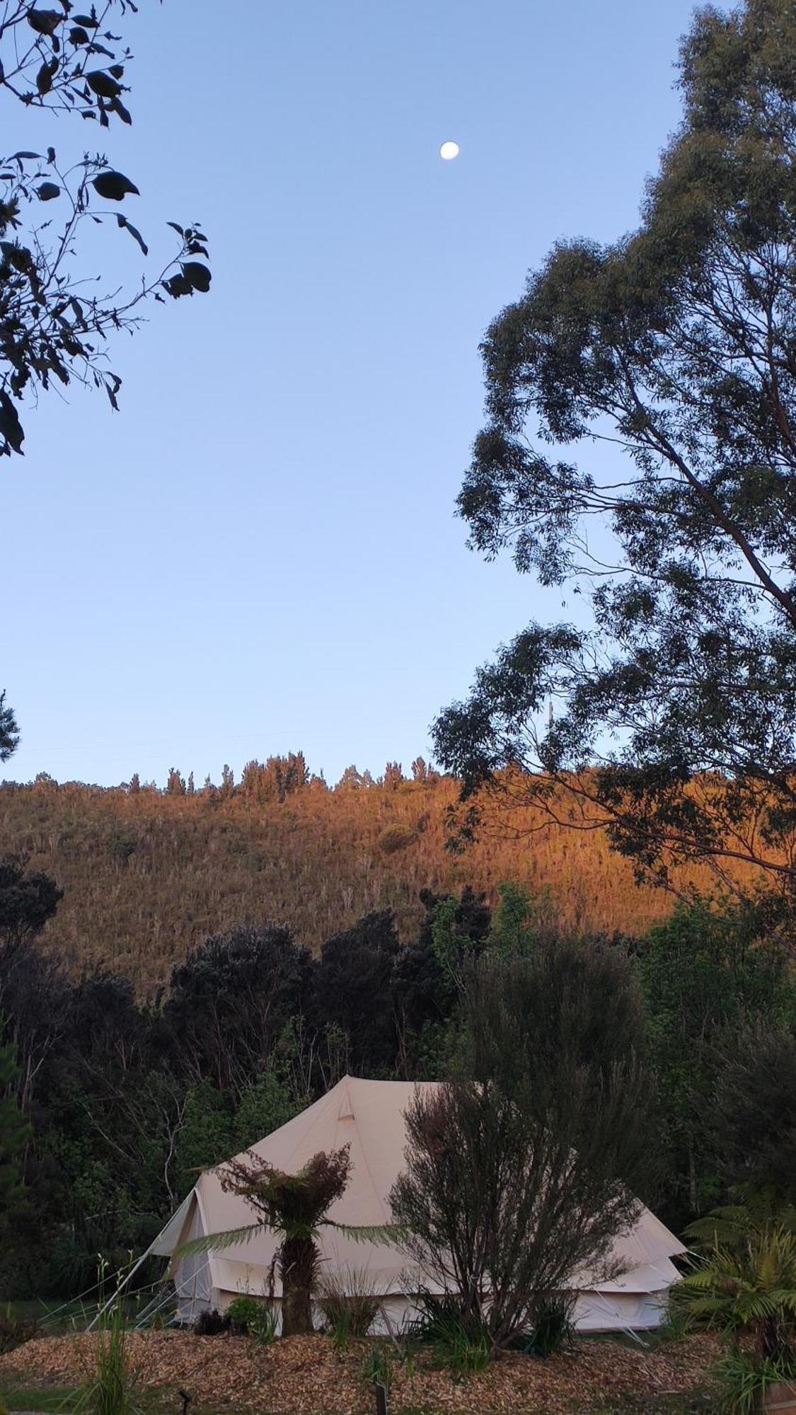 Glamping At Zeehan Bush Camp Dış mekan fotoğraf