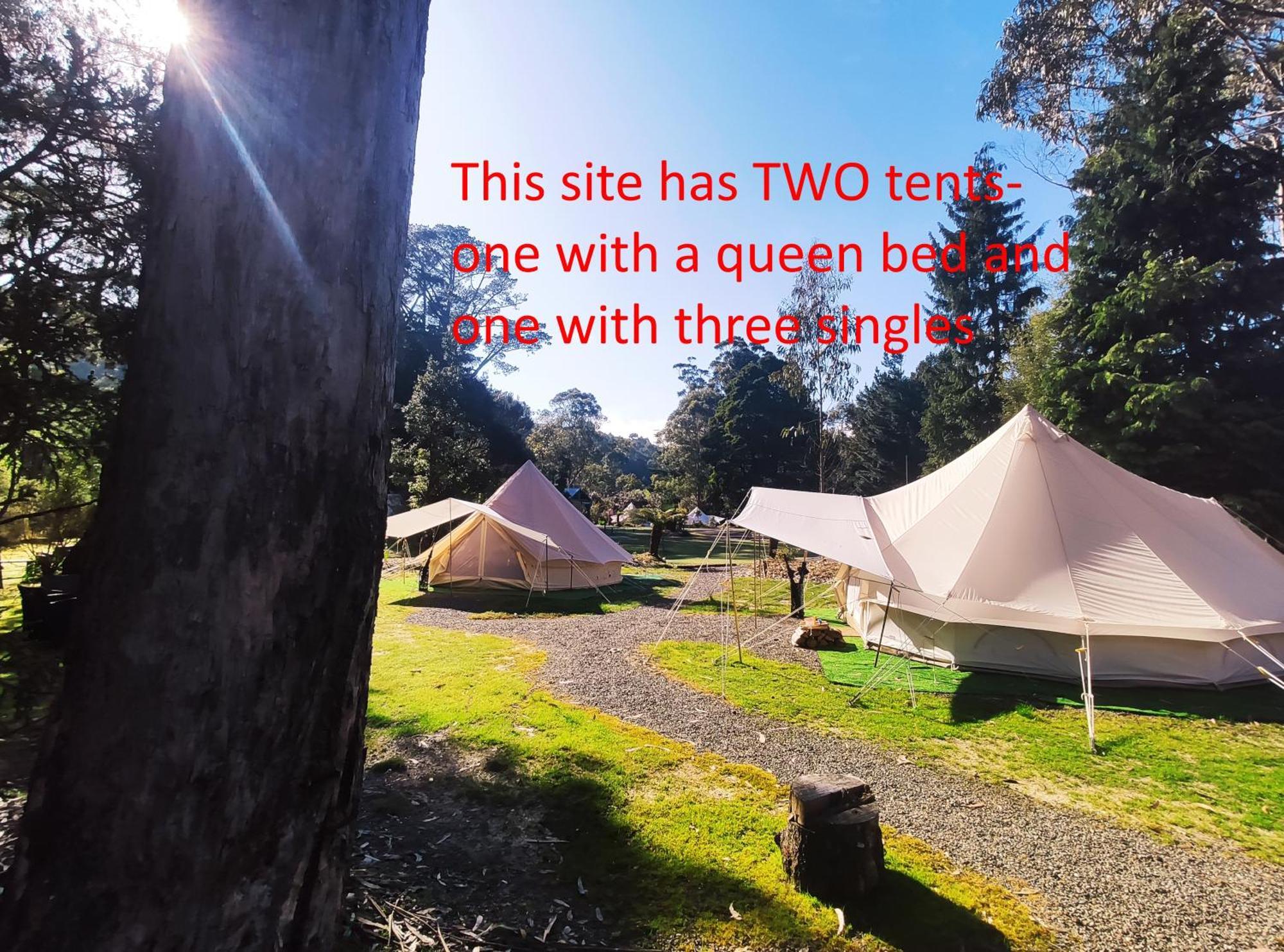 Glamping At Zeehan Bush Camp Dış mekan fotoğraf