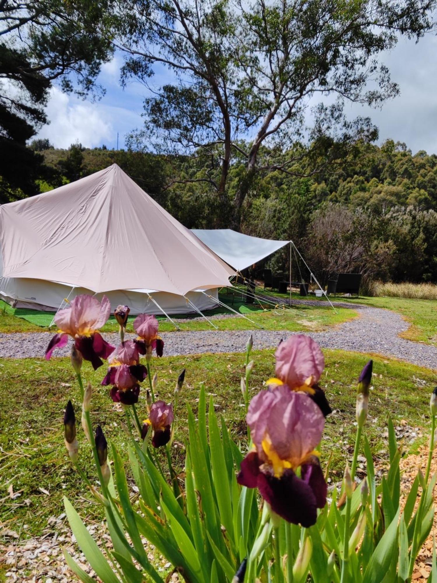 Glamping At Zeehan Bush Camp Dış mekan fotoğraf