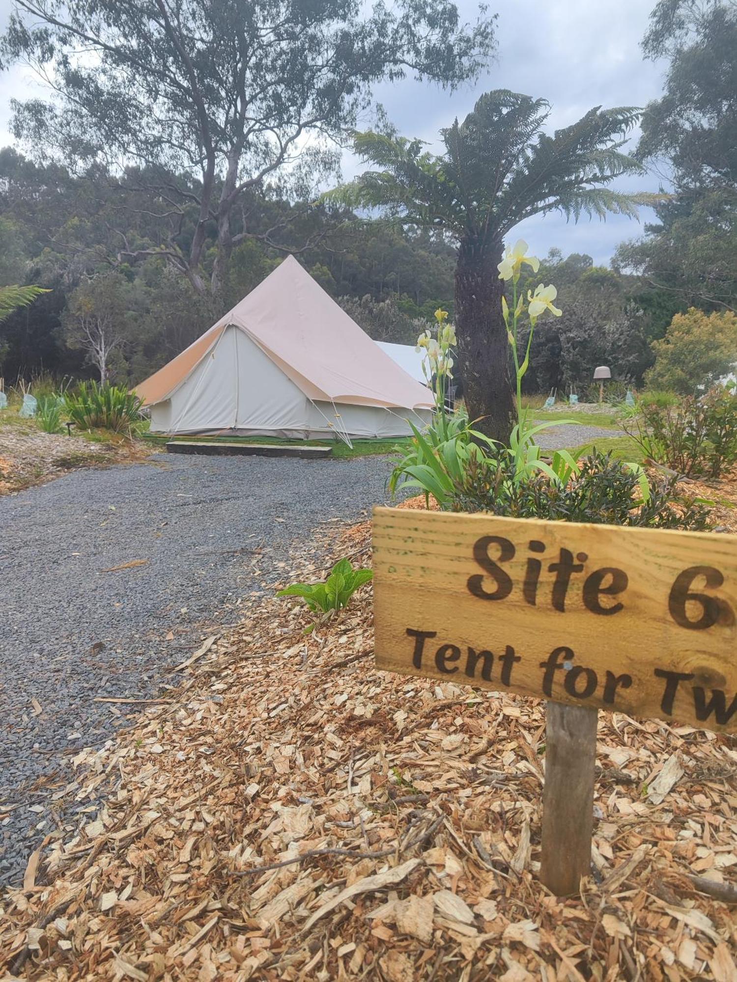 Glamping At Zeehan Bush Camp Dış mekan fotoğraf