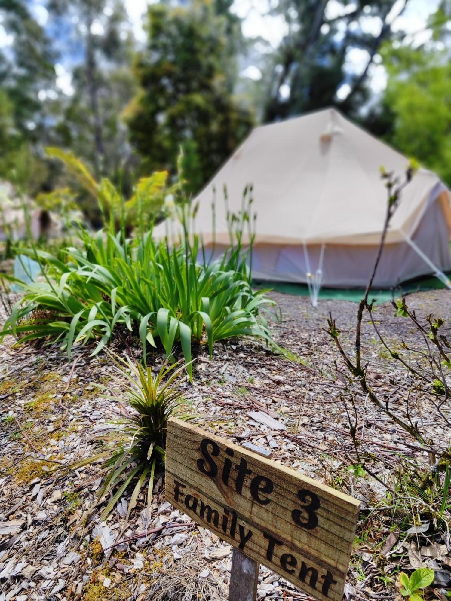 Glamping At Zeehan Bush Camp Dış mekan fotoğraf