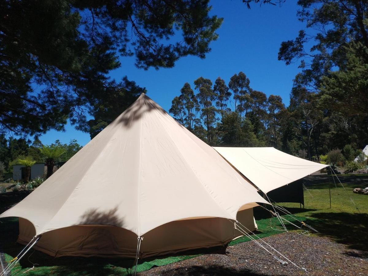 Glamping At Zeehan Bush Camp Dış mekan fotoğraf